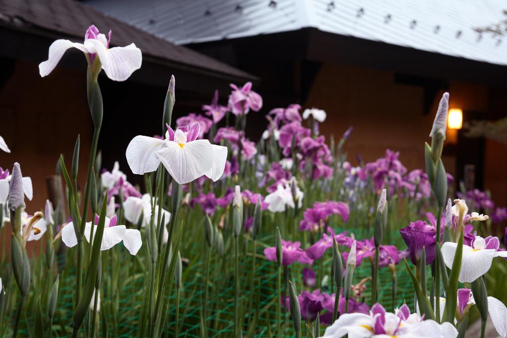 Satonoyu Waraku 13 Years Or Older Hotel มินามิโอกุนิ ภายนอก รูปภาพ